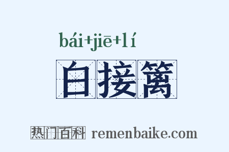 白接篱是什么意思的图片
